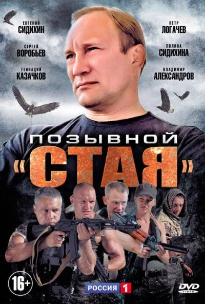 Позывной «Стая» (2013) онлайн бесплатно