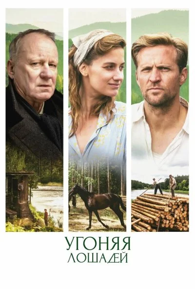 Угоняя лошадей (2019) онлайн бесплатно